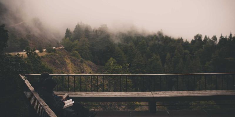 Herbal Tea and Natural Supplements: A Comprehensive Guide to Herbal Products for Modern Wellness