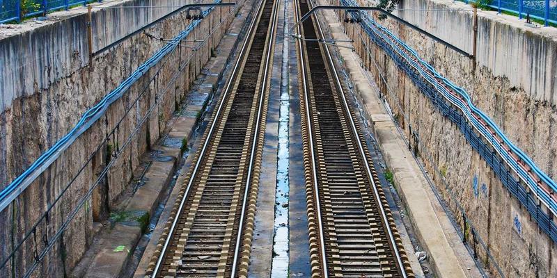 Texas Herbs与有机健康：用于慢性炎症管理的顶级草本抗炎剂