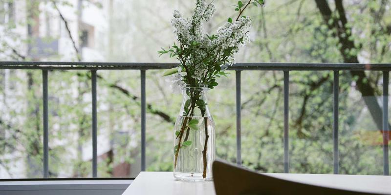 Texas Herbs与草本茶：用洋甘菊与姜自然缓解宠物焦虑与消化问题