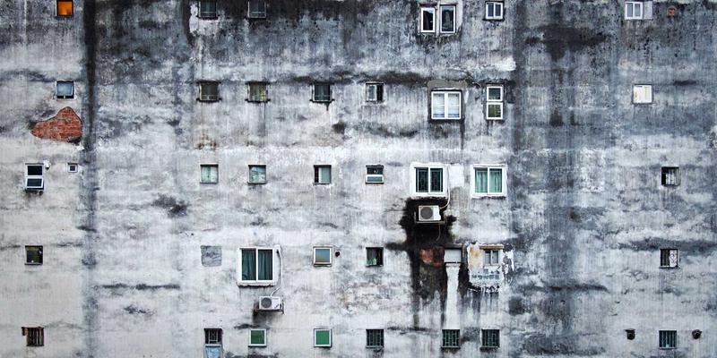 从德克萨斯草药到全球市场：草本产品与膳食补充剂的未来前景