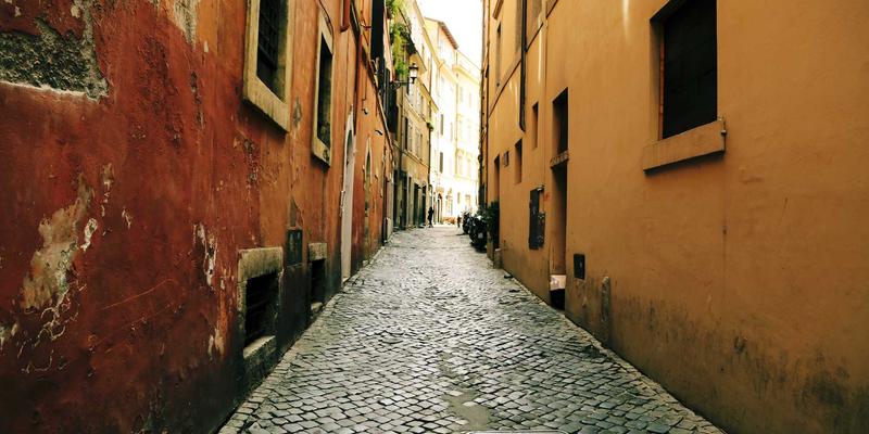 天然草本力量：来自德州的草药与茶饮，唤醒秀发新生力
