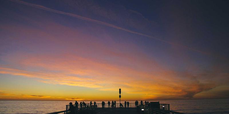 如何选择高品质草本补充剂：从健康食品到德州草药与草本茶的实用指南