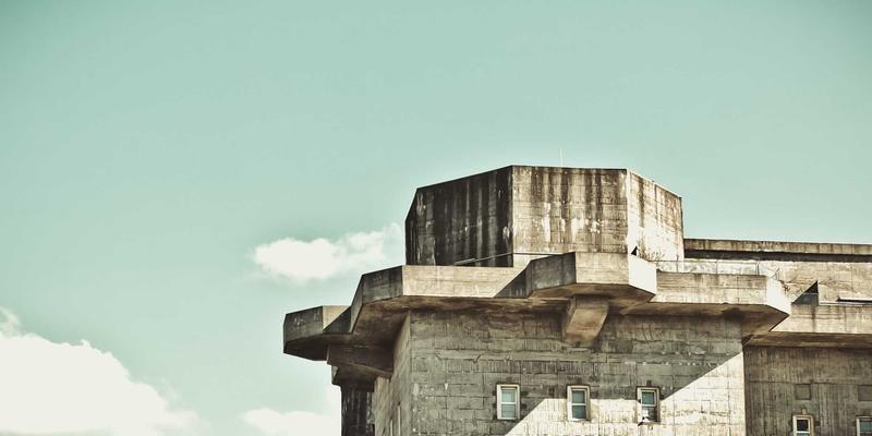 德克萨斯草本的力量：探索天然草本产品与健康食品的疗愈之旅