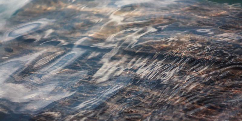 德州有机草本助眠方案：用天然植物疗法重获宁静睡眠