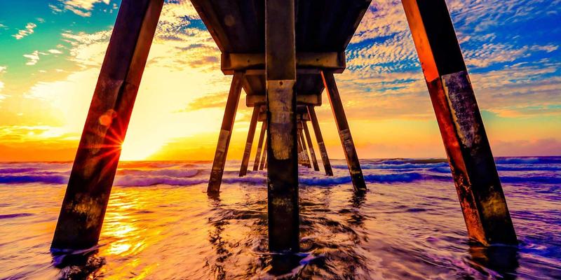 有机草本产品完全指南:从天然膳食补充剂到整体健康方案