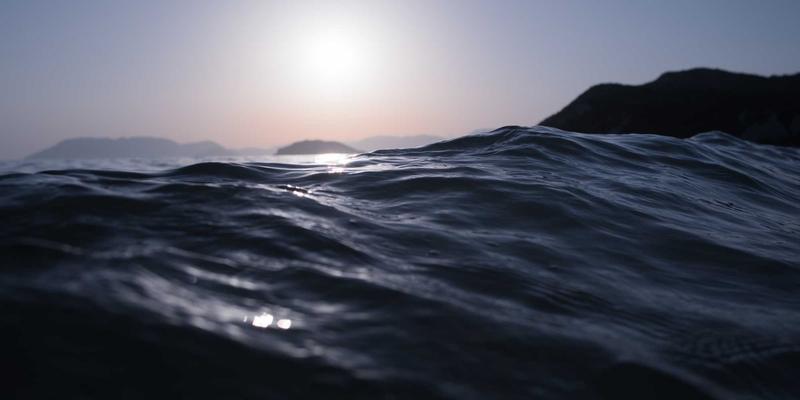 有机草本产品：膳食补充剂与草本疗法的自然健康之道