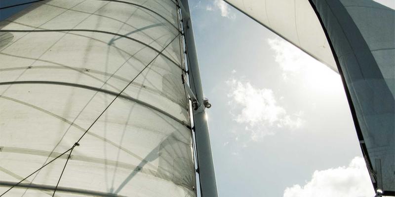 草本产品与心血管健康：天然补充剂如何调节血压与胆固醇