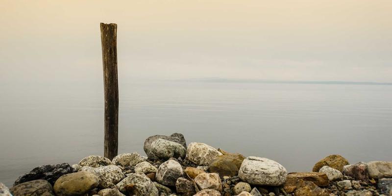 草本产品：连接健康食品与天然补充剂的自然桥梁