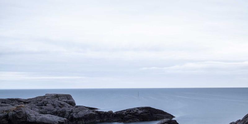 草本力量：探索草本茶与天然膳食补充剂的健康奥秘