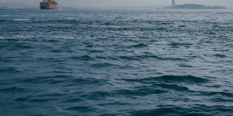 草本助眠的科学：从缬草根到西番莲，探索改善睡眠的天然膳食补充剂