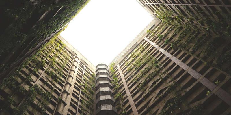 草本智慧：探索增强记忆力与专注力的有机健康茶饮与食品