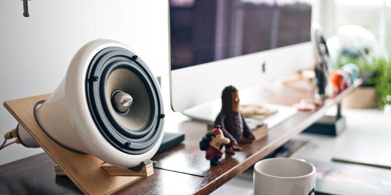 运动后恢复的草本疗法：利用健康食品与膳食补充剂减轻肌肉酸痛与炎症