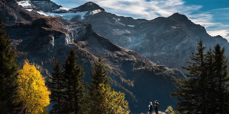 运动恢复新选择：探索减轻肌肉酸痛与关节炎症的天然草本补充剂